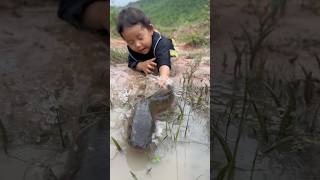 Survival Skills single mom with FISH catching skills survival camping bushcraft food cooking [upl. by Sneve]