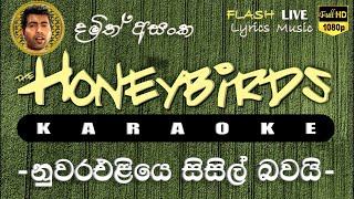 Nuwara Eliye Sisil Bawai Karaoke Without Voice නුවර එළියෙ සිසිල් බවයි කැරෝකේ [upl. by Yesrod688]