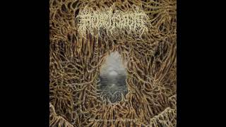 Mortiferum  Disgorged From Psychotic Depths Full Album [upl. by Niveb185]