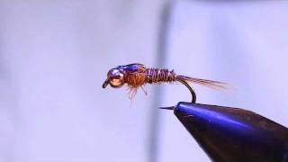 Tying a Pheasant Tail Nymph [upl. by Halimeda]