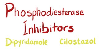 Phosphodiesterase PDE Inhibitors [upl. by Ostraw]