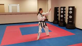 Dan Gun step by step for yellow belts [upl. by Neliac88]