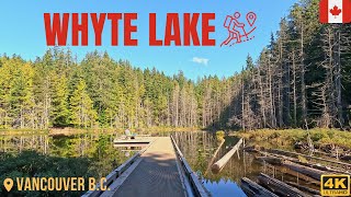 Whyte Lake  Virtual Hike Tour in West Vancouver  4k [upl. by Magdala533]