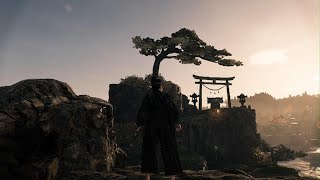 Rise of the Ronin  Yamate Shrine Ambience [upl. by Madaih737]