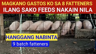 Magkano gastos ko sa 8 fatteners ilang sako feeds nakain nila Hanggang NABINTA l Dodong Villaran [upl. by Zachery]