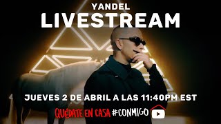 YANDEL  LIVESTREAM [upl. by Thom]