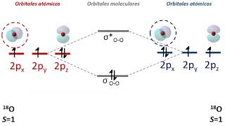 Orbitales Moleculares del Oxigeno [upl. by Percival]