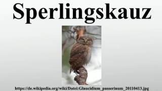 Sperlingskauz [upl. by Saxon]