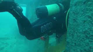 quotSS ROSALIE MOLLERquot wreck  Dive through  50 meters deep [upl. by Karyl]