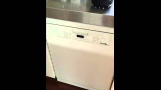 Miele Dishwasher making funny noise [upl. by Arot]