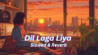 Dil Laga Liya Recreated Version Lofi  Slowed Reverb  Dil Hai Tumhaara [upl. by Freida]