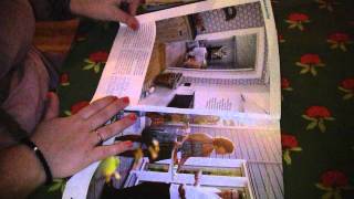 Looking in a magazine requested ASMR p 1 [upl. by Brunhilde]