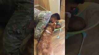 Corgi Gets Jealous When Dad Kisses Baby [upl. by Lombard]