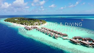 Maldives Diving amp Snorkeling  FAQ For Covid19 Travel Vilamendhoo Island Resort amp Spa [upl. by Aciras889]