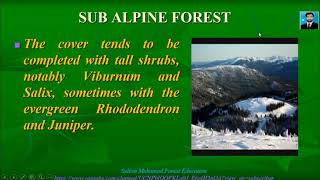 Sub Alpine Forest Of Pakistan  Forest Education [upl. by Ingrim537]