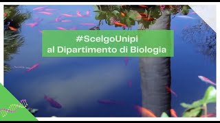 IoScelgoUnipi al Dipartimento di Biologia [upl. by Enilekaj586]