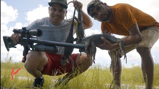 Caza y Cocina Iguanas con Rifles de Aire [upl. by Moriyama400]