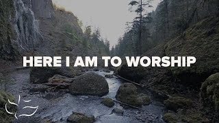 Here I Am To Worship  Maranatha Music Lyric Video [upl. by Giff]