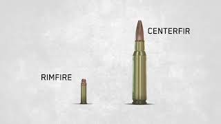 Ammo Basics Rimfire Versus Centerfire [upl. by Chaille]