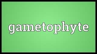 Gametophyte Meaning [upl. by Lawan]