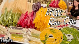 Mứt Rau Câu  Cách Làm Kẹo Mứt Rau Câu Rất Giòn Dẻo Món Ngon Cho Ngày Tết  Agar Agar Jelly Candy [upl. by Iggy]