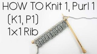 HOW TO KNIT AND PURL  1x1 Rib [upl. by Oakleil]