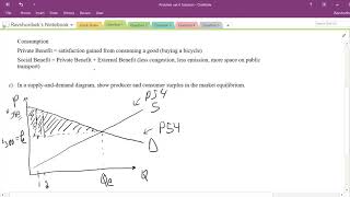 Market Failure and Externalities Problem Set [upl. by Elleron562]