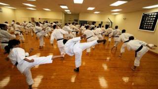 Traditional Karate Training 9 yokogeri keage and kekomi [upl. by Caitrin]