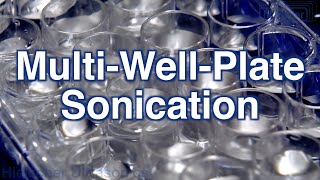 MultiWellPlate Sonicator for High Throughput Sample Preparation  UIP400MTP by Hielscher [upl. by Jill281]