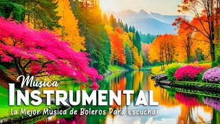 2 Horas Las Mejores Instrumental De Oro De Los 80 y 90  La Mejor Música de Boleros Para Escuchar [upl. by Annayr881]