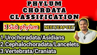 Phylum chordata classificationphylum chordata class 11 by Sagar zoology [upl. by Endora237]