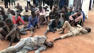 Police Free 187 Zamfara Kidnap Victims Feeding On Grass For 52 days  Official [upl. by Mitran]