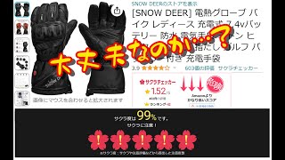 SNOW DEER 評価が怪しい電熱グローブを自腹で買ってみました。 [upl. by Joey]