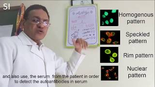 Antinuclear antibody ANA I Understand the test [upl. by Argyle]