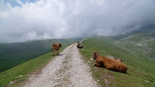 Crossing Picos de Europa  Indoor Cycling Training [upl. by Nuawd]