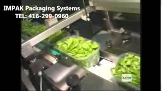 Ilapak Carrera 500 PC Horizontal Flow Wrapper Wrapping Produce [upl. by Agbogla473]