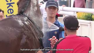 【2024 黃昏賽事 Twilight Racing】應對炎熱天氣的措施  Comprehensive heat mitigation measures under hot weather [upl. by Ahtiekal]