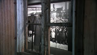 Auschwitz exhibit largest in US history set to open in New York City museum [upl. by Anela]