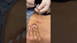 Belly piercing işlemi piercing gebze tattoos tattoo piercings belly [upl. by Ttelracs]