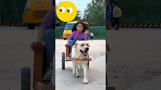 O cachorro está levando a menina para casa 🐕👧🏠 [upl. by Akinit]