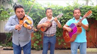 Trio Los Genuinos de Jacala Hidalgo en Houston Tx [upl. by Ahsikyt]