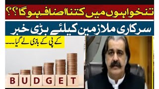 Budget 202425 Pakistan  Increase of Salaries of Government Employees budget [upl. by Kienan]