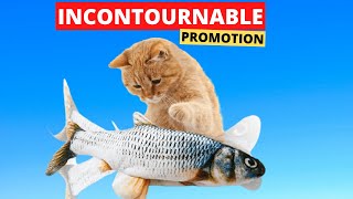 JOUET POUR CHAT  POISSON QUI BOUGE TOUT SEUL pas cher [upl. by Harbison778]