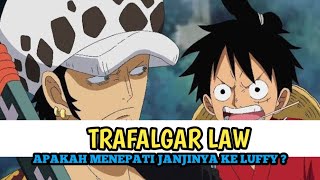 APAKAH TRAFALGAR LAW MENEPATI JANJINYA KE LUFFY onpiece [upl. by Haymes]