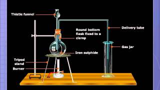 Preparation of Hydrogen Sulphide [upl. by Greabe261]