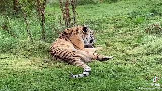 Blackpool Zoo [upl. by Barcroft]