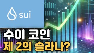 수이 코인 이건 알고 사야한다 Feat Sui 코인 비트코인 [upl. by Baxy]