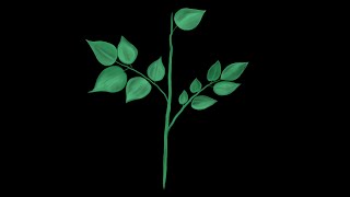 Adobe Fresco Timelapse Video of a Plant Sapling [upl. by Maurizia]