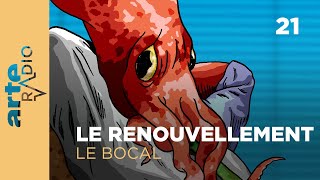 Le bocal 2124  Le renouvellement  ARTE Radio Podcasts [upl. by Tedric]