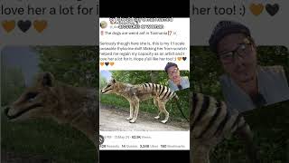 Thylacine photos debunked [upl. by Berey545]